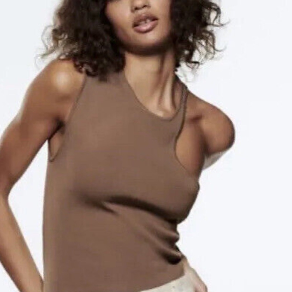 Zara Sleeveless Brown Top